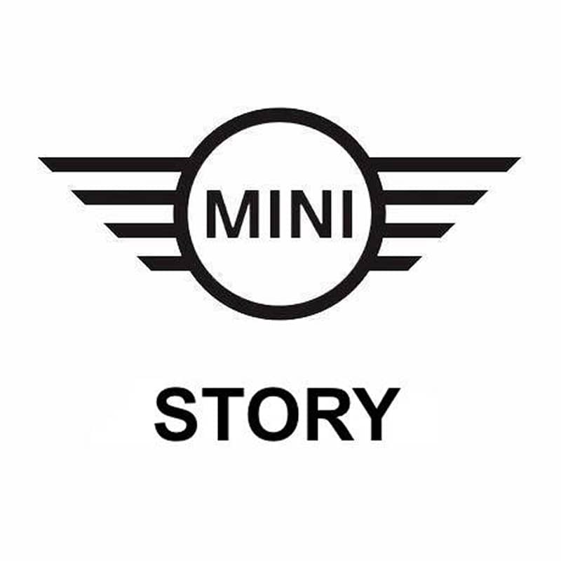 logo_mini story